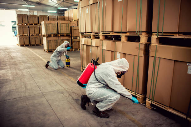 Best Pest Inspection Near Me  in Solvang, CA