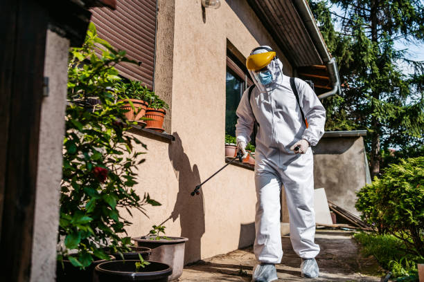 Best Rat Extermination Near Me  in Solvang, CA