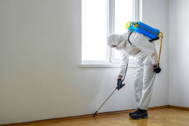 Best Bed Bug Extermination  in Solvang, CA