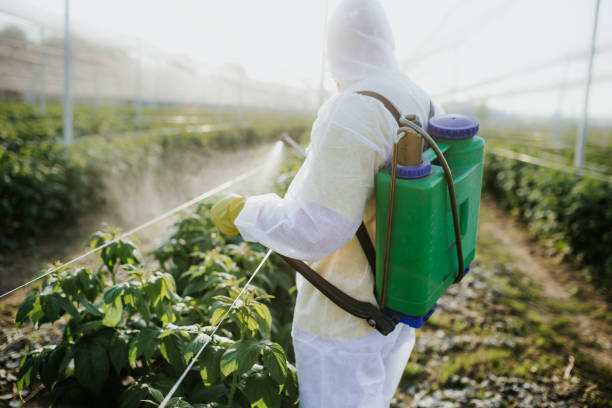 Best Pest Removal Services  in Solvang, CA